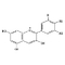 Extracto de Arándano (Vaccinium myrtillus)